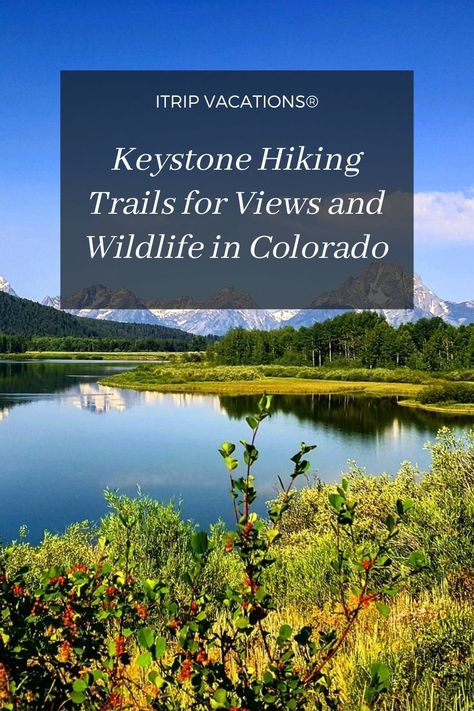 Keystone Colorado Summer, Keystone Colorado, Colorado Trail, Colorado Summer, Forest And Wildlife, Colorado Adventures, Nature Hikes, Colorado Vacation, Outdoor Lover