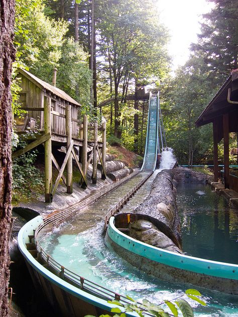 Enchanted Forest, Oregon's best and only theme park!  Mike and Jody loved this, going with their cousins Forest Oregon, Oregon Road Trip, Oregon Travel, To Infinity And Beyond, Future Travel, Enchanted Forest, Oh The Places Youll Go, Pretty Places, Abandoned Places