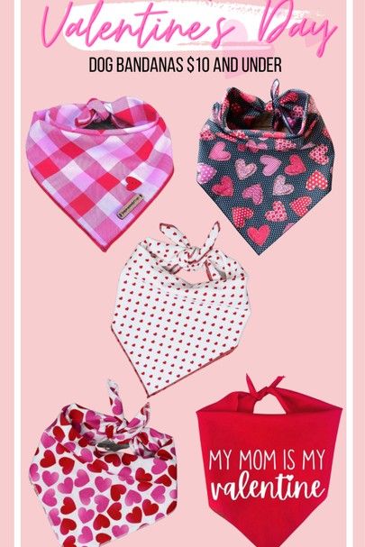 Valentine Dog Bandana, Dog Adoption Event, Valentines Dog, Dogs Accessories, Cricut Air 2, Dog Valentine, Dog Accesories, Valentine Dog, Dog Bandanna