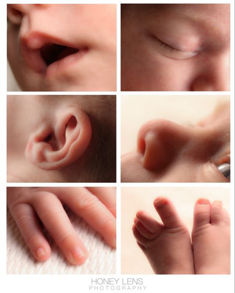 Newborn baby photography detail shots Newborn Photography Detail Shots, Newborn Detail Shots, Maternity Picture Outfits, Diy Newborn Photography, Foto Newborn, Baby Pictures Newborn, Newborn Baby Tips, Baby Photoshoot Boy, Newborn Baby Photoshoot