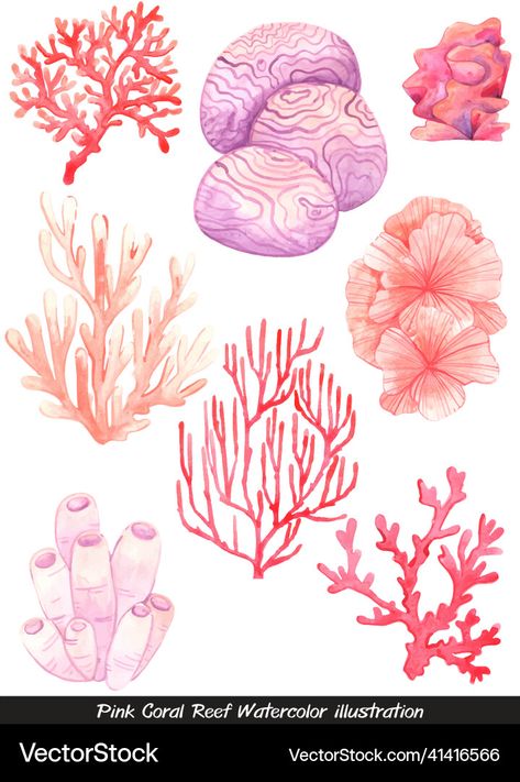 Watercolor Vector, Coral Watercolor, Red Fish, Tropical Vacation, Animal Decor, Pink And Red, Nature Landscape, Coral Reef, Red Coral