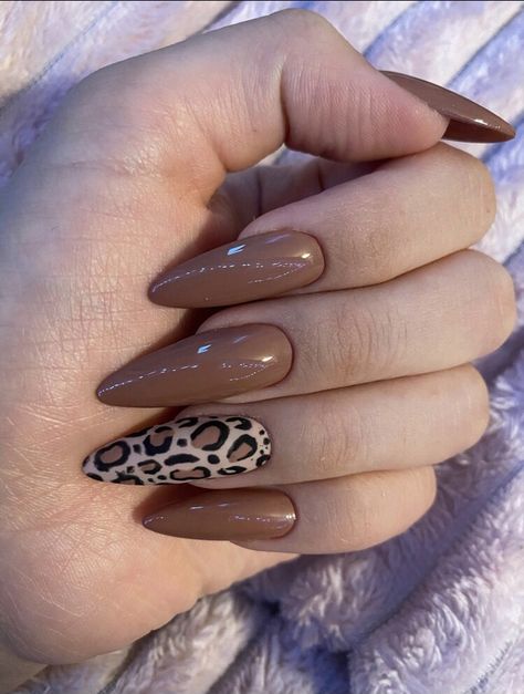 Jel Nails, Almond Stiletto Nails, Leopard Makeup, Almond Stiletto, Leopard Print Nails, Classic Nails, Print Nails, Baby Clip Art, Heart Nails