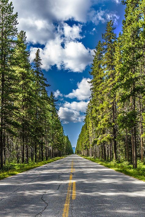 travelingcolors:  Road through the forest, Banff | Canada (by Roberto Melotti) Open Roads, Banff Canada, Beautiful Roads, Scenic Roads, Banff National Park, Natural Scenery, Beautiful Nature Wallpaper, Open Road, Mountain Views