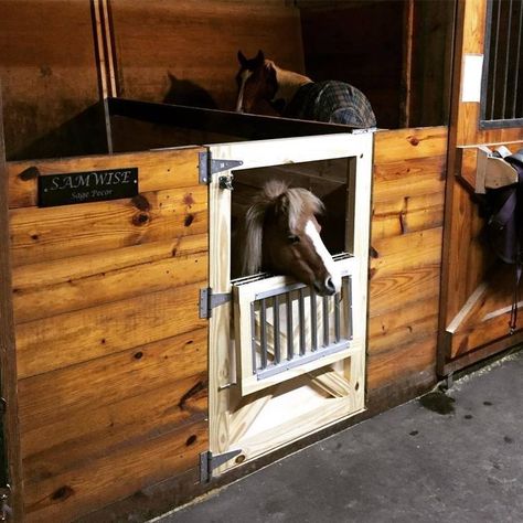 Half-stall door with a cut out for a miniature horse, which would be perfect for a barn with both horses and ponies as well as miniature horses Mini Horse Stall, Stall Door, Horse Barn Ideas Stables, Barn Stalls, Barn Door Hinges, Horse Barn Designs, Horse Shelter, Dream Horse Barns, Dream Stables