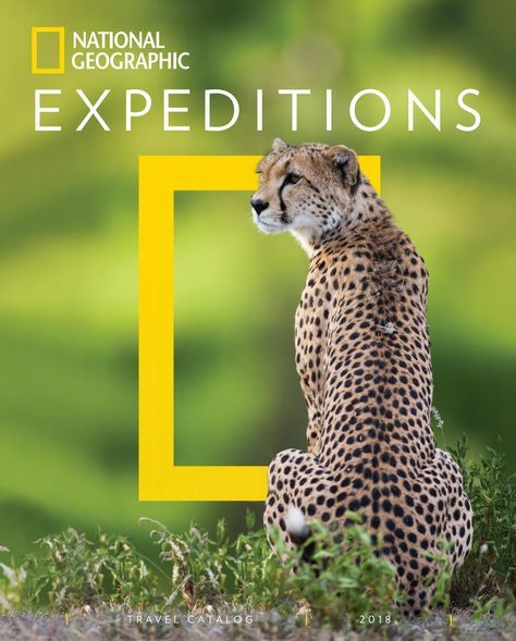 National Geographic Design, Zoo Sign, National Geographic Expeditions, Magazine Cover Ideas, National Geographic Photography, Magazine Design Cover, Jim Corbett, National Geographic Magazine, Wildlife Safari