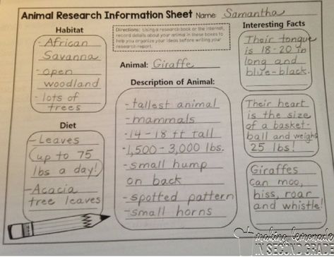 Making Lemonade in Second Grade: Animal Research Projects! Animal Report Template, Writing Traits, Benchmark Advance, Winter Classroom Activities, Habitats Projects, Animal Research, Animal Report, Second Grade Writing, Making Lemonade