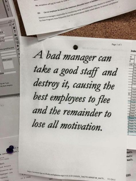 A bad manager can take a good staff & destroy it, causing the best employees to flee & the remainder to lose all motivation. Bad Manager Quotes, Bad Boss Quotes, Work Environment Quotes, Employee Quotes, Bad Managers, Environment Quotes, Workplace Quotes, Manager Quotes, Respect Quotes