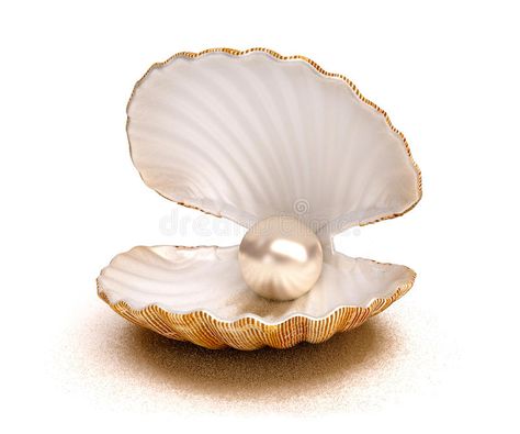 Sea shell with pearl. Sea 芒EUR , #AD, #shell, #Sea, #EUR, #pearl #ad Pearl Tattoo, Shell Drawing, Nursing Assessment, Jewel Of The Seas, Nursing Education, Sea Pearls, Oyster Shell, June Birth Stone, Icon Set