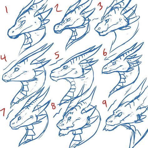 Dragon Tarot, Dragon Poses, Dragon Anatomy, Dragon Heads, Dragon Face, Different Artists, Dragon Sketch, Art Tools Drawing, Creature Drawings