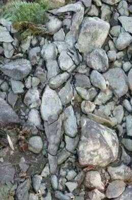 Rock Lady Optical Illusion Illusion Kunst, Optical Illusions Pictures, Illusion Pictures, Art Pierre, 웃긴 사진, Illusion Art, Wow Art, Foto Art, Land Art