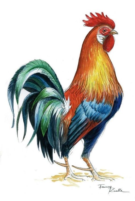 Rooster Tattoo, Chicken Drawing, Rooster Painting, Chicken Painting, Rooster Art, Farm Art, Chicken Art, Color Pencil Art, Bird Drawings