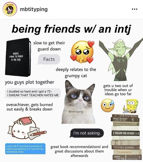 Intj T Personality, Mbti Comics, Accurate Personality Test, Intj Things, Bad Genius, Intj Humor, Mbti Charts, Intj 5w6, Istp Personality