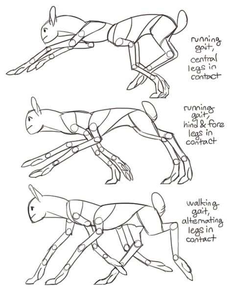 Creature Design Tutorial, Creature Design Tips, Six Legged Creature, Spider Centaur, Harpy Oc, Alien Anatomy, Alien Biology, Simple Anatomy, Alien Life