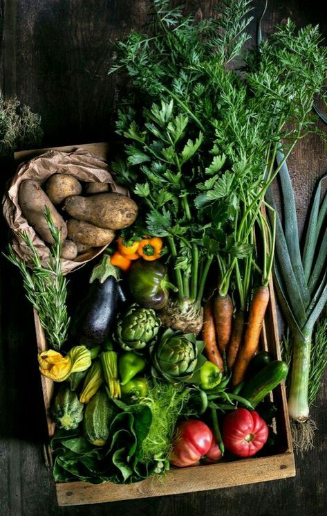 Vegetables Photography, Farm Lifestyle, Photo Food, Garden Photography, Food Photography Styling, Veggie Garden, Fruit And Veg, Farm Gardens, Kitchen Garden