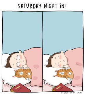 Saturday Night At Home, Snuggling In Bed, Home Reading, Cat Tutorial, Night At Home, Cats Things, Cat Comics, Cat Base, Funny Kitty