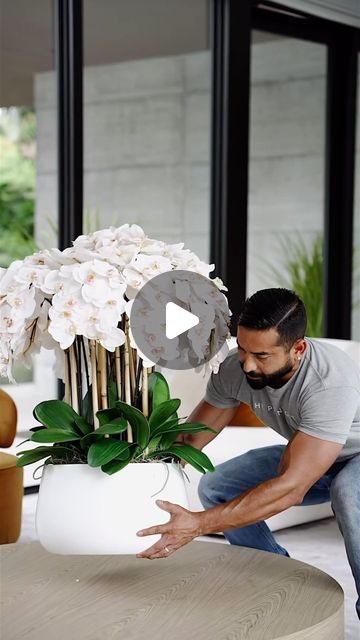 Matthew Lang on Instagram: "Which of these Orchid Arrangements is your favorite?   #arrangement #orchid #artificial #highquality #design #modern #homedecor" Artificial Orchid Arrangement, Orchid Flower Arrangements, Artificial Orchids, Orchid Arrangements, Artificial Flower Arrangements, Orchid Flower, Artificial Flowers, House Plants, Orchids