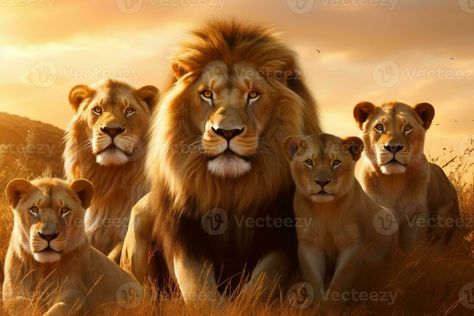 Group of Lions in the Wild - Serene Savannah Scene. Generative by Ai Lions In The Wild, Group Of Lions, Wild Lion, Tree Saw, Cityscape Photos, Logo Banners, Nature Backgrounds, Heart With Arrow, In The Wild