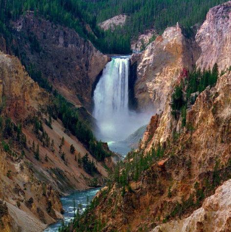 Artist Point Yellowstone, Yellowstone Falls, Wyoming Vacation, Yellowstone River, Yellowstone Trip, Wyoming Travel, Road Trip Places, Scenic Road Trip, National Park Road Trip