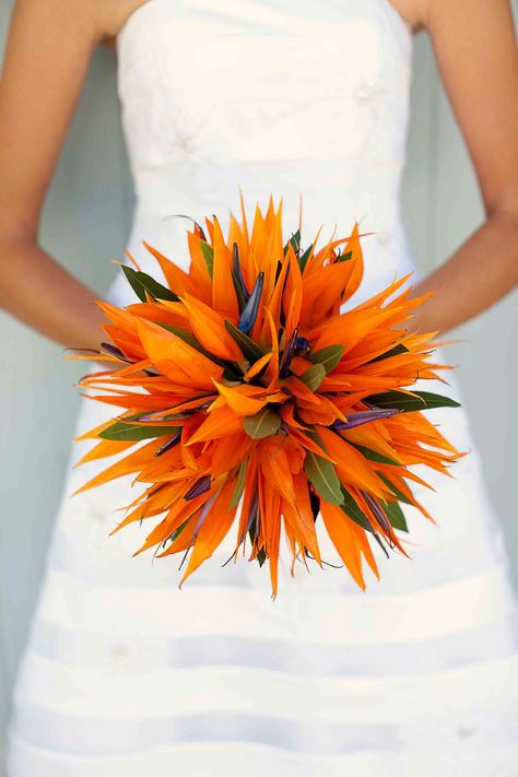 Unique wedding bouquet from my wedding. My wife's favorite flower didn't lend to an easy bouquet, but the Bird of Paradise was stunning at our beach wedding. Bird Of Paradise Wedding, Unique Wedding Bouquet, Tropical Flower Arrangements, Paradise Wedding, Orange Bouquets, Orange Wedding Flowers, Birds Of Paradise Flower, Bouquet Bride, Wedding Bouquets Bride