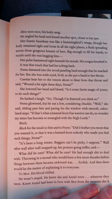 Part 11 of the bonus scene with Nesta and Cassian Nesta Cassian, Cassian And Nesta, Crown Of Midnight, Feyre And Rhysand, Chapter 55, Empire Of Storms, A Court Of Wings And Ruin, Sarah J Maas Books, Night Court