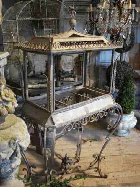 Oh La LaY'all......French Style and Southern Charm: Antique Wardian Cases Victorian Terrariums, Champagne Cart, French Display, Wardian Case, South France, Aquarium Stand, Birdcages, Aquarium Design, Indoor Gardens