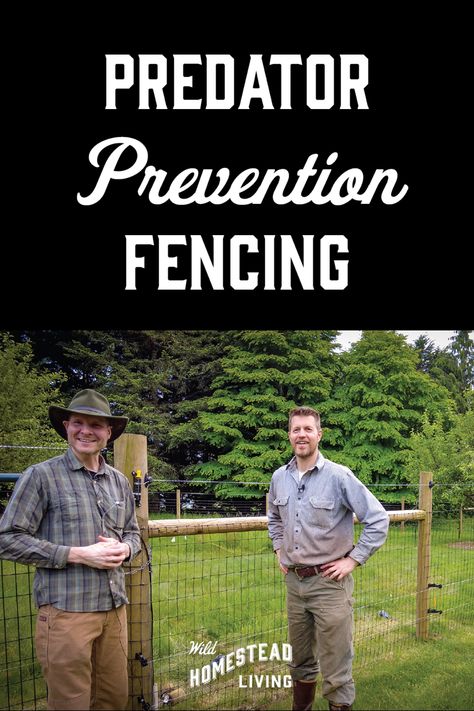 Livestock Fence, Horse Fencing, Homestead Living, Forest Bathing, Environmental Education, Electric Fence, Fence Design, Conflict Resolution, Diy Patio