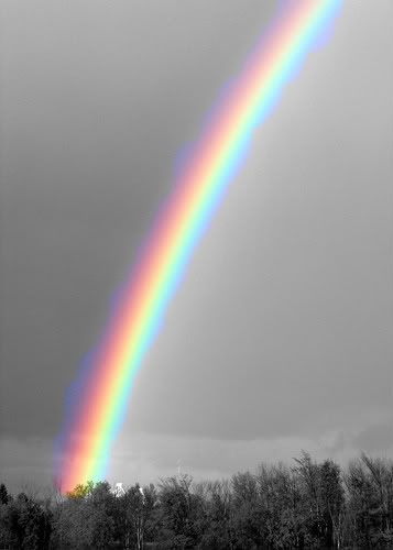 rainbow color splash photo: a rainbow, in a black and white picture This photo was uploaded by rockprincessana Billy Color Splash Photo, Color Splash Photography, Splash Photography, God's Promise, Rainbow Aesthetic, Love Rainbow, Photo Blog, Beautiful Rainbow, Over The Rainbow