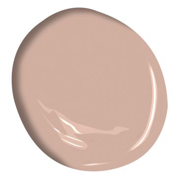 Shabby Chic Benjamin Moore, Savannah Clay Benjamin Moore, Benjamin Moore Cocoa Butter 1023, Benjamin Moore Soul Mate, Benjamin Moore Sugarcane, Early Sunset Benjamin Moore, Pale Cherry Blossom Benjamin Moore, Tissue Pink Benjamin Moore, Benjamin Moore Stonecutter