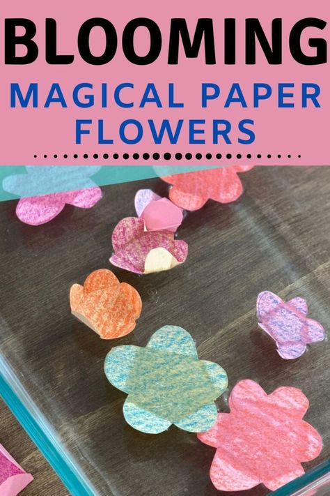 Cool Science Experiments For Kids, Steam Activities Elementary, Spring Science Experiments, Flower Activities For Kids, Spring Stem Activities, Spring Science Activities, Flower Science, Science Activities For Toddlers, Stem Activity For Kids