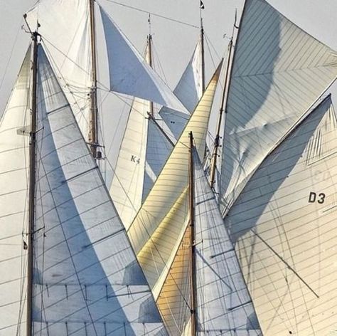 Sailing Aesthetic, Boat Summer, Classic Sailing, Boat Race, Yacht Design, Sailing Yacht, Tall Ships, Wooden Boats, Set Sail