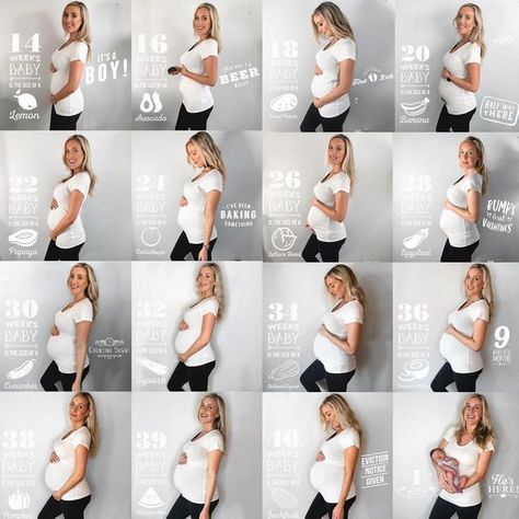 What an incredible journey! Such a special collage captured with Baby Pics App. 💞 Thanks for tagging us @oliviazapostyle Congrats on your precious arrival. 🤗 Start capturing your weekly pics for free today. Link in our bio 👉 @babypicsapp #BabyPicsApp #pregnancyapp #pregnancyannouncement #pregnancymilestone #pregnancy #babybump #baby #pregnant #birthannouncement #20weeks #26weekspregnant #20weekspregnant #30weekspregnant #babyannouncement #genderreveal #pregnant #14weeks #14weekspregnant 26 Weeks Pregnant, 30 Weeks Pregnant, 20 Weeks Pregnant, Pregnancy Apps, Pregnancy Milestones, 30 Weeks, 20 Weeks, Weeks Pregnant, Baby Pics