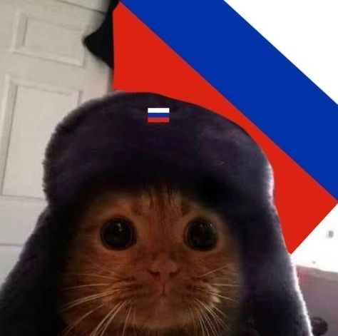 Russian Aesthetic Pfp, Russian Emoji, Russian Pfp, Cat Vs Cat, Russian Cat, Spanish Flags, Cursed Emoji, Russian Hat, Russian Humor