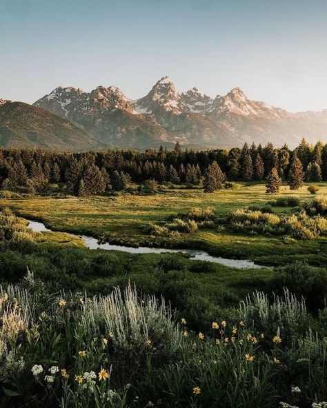 Mountains Aesthetic, Pretty Landscapes, Nature Aesthetic, Nature Pictures, Land Scape, Wyoming, Beautiful World, Beautiful Landscapes, The Great Outdoors