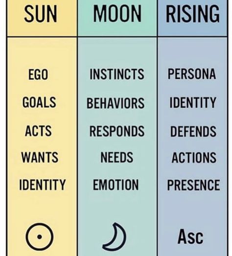 Sun in Leo Moon in Scorpio Libra Ascendant with Pluto rising ♌️♏️♎️ Scorpio Ascendant, Ascendant Sign, Astrology Meaning, Scorpio And Libra, Rising Sign, Moon In Leo, Aquarius Rising, Taurus Moon, Gemini Rising