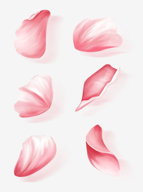 Flower Petals Falling Drawing, Flower Petal Shapes, How To Draw Petals, Rose Petal Drawing, Flower Petal Drawing, Flower Petals Drawing, Rose Petal Tattoo, Rose Petals Tattoo, Rose Petals Drawing