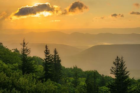 Sunrise view from Bear Rocks Preserve in Dolly Sods Wilderness, Monongahela National Forest, West Virginia Monongahela National Forest, Hotel Motel, Posters Framed, Image House, National Forest, City Skyline, West Virginia, Framed Wall, Night Life