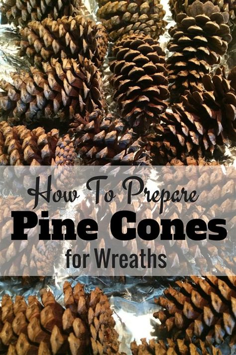 How to prepare pine cones for crafts. This method works for wreaths, garlands & Christmas Trees. Couronne Diy, Pine Cone Art, Diy Pinecone, Pine Cone Decorations, Pine Wreath, Pinecone Wreath, Cones Crafts, Pine Cone Crafts, Nature Crafts