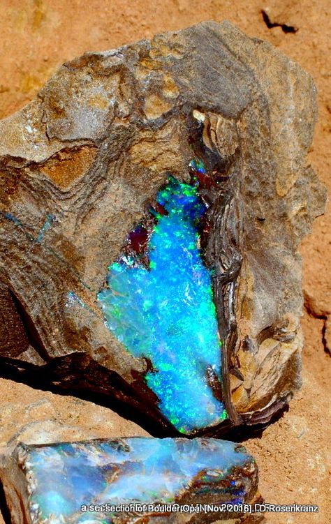 a rough piece of Boulder Opal from the Quilpie area , Queensland , Australia [pic. Nov 2016 ] Raw Opal Rock, Opal Rock, Boulder Opal Jewelry, Cairns Queensland, Minerals Crystals Rocks, Raw Opal, Pretty Rocks, Australian Boulder Opal, Cool Rocks