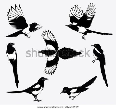 Magpie Tattoo, Magpie Art, Vogel Silhouette, Art Deco Logo, Vogel Tattoo, Traditional Tattoo Art, Shadow Art, Bird Silhouette, Grafic Design