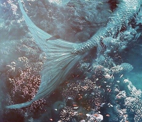 No Ordinary Girl, Swimming In The Ocean, Siren Mermaid, Mermaid Aesthetic, Mermaid Dreams, Mermaid Life, Sea Witch, Fantasy Aesthetic, Mermaid Art