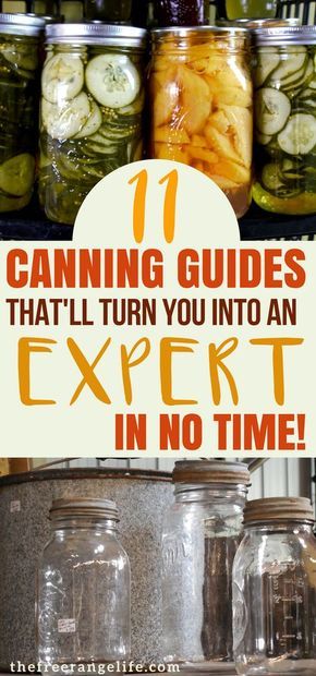 Can Vegetables, Water Bath Cooking, Toples Kaca, Canning 101, Home Canning Recipes, Canning Vegetables, Canning Food Preservation, Canned Food Storage, Canning Tips