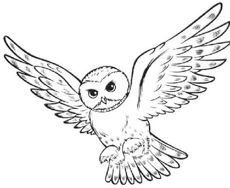 I want this carrying a letter with in memory of darryll written on it Harry Potter Clip Art, Harry Potter Coloring Pages, Owl Coloring, Harry Potter Owl, Harry Potter Hedwig, Owl Coloring Pages, Owl Images, Cartoon Coloring, Anniversaire Harry Potter