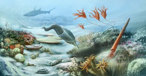 Underwater life thrived during the Silurian Period by Alena Hovorkova Silurian Period, Paleozoic Era, History Of Earth, Animal Groups, Underwater Life, Arthropods, Prehistoric Creatures, Prehistoric Animals, Amphibians