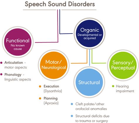 Articulation Disorder, Speech Language Pathology Grad School, Speech Therapy Data Collection, Speech Therapy Tools, Childhood Apraxia Of Speech, Phonological Processes, Cleft Palate, School Speech Therapy, Language Therapy Activities