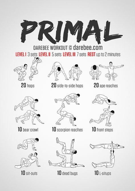 Primal workout Darbee Workout, Darebee Workout, Swim Workouts, Primal Movement, Paleo Workout, Animal Flow, Superhero Workout, Animal Movement, Calisthenics Workout