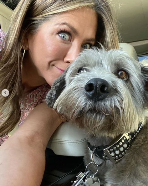 Dog, Mammal, Canidae, Dog breed, Schnoodle, Companion dog, Snout, Carnivore, Miniature schnauzer, Morkie, Aniston Jennifer, Hms Prince Of Wales, 52nd Birthday, Taylor Swift Cat, Jeniffer Aniston, Jennifer Aniston Hair, Jennifer Aniston Style, Jennifer Aniston Hot, Jenifer Aniston