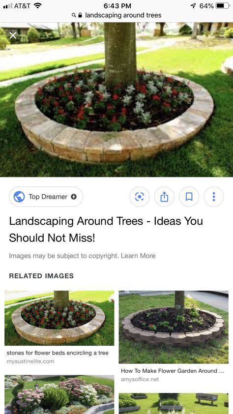 Brick Around Tree Ideas, Landscaping Around Trees With Pavers, Pavers Around Trees, Tree With Bricks Around It, Pavers Around Tree, Ring Around Tree Front Yards, Front Yard Big Tree Landscaping Ideas, Landscaping Around Trees, House Landscaping