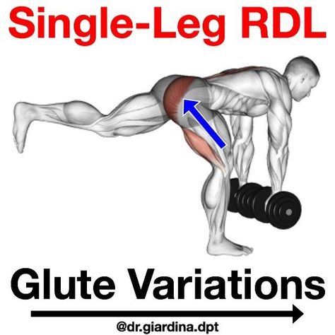 Dr. Michael Giardina, DPT, OCS on Instagram: "🚨SINGLE-LEG RDL GLUTE VARIATIONS🚨 🟩 Contrary to popular belief, the glutes prefer a stable environment if they’re to fire maximally. A good glute🍑program should employ single leg variations. 🟦 In this case, we will be using the Single-Leg Romanian Deadlift (SL RDL). Traditionally, the RDL strengthens the posterior chain including glutes, hamstrings, and back extensors. 🟧 When performing the RDL on 1 Leg🦵, we are adding a dynamic balance compon Glute Program, Single Leg Rdl, Romanian Deadlift, Posterior Chain, Routine Workout, At Home Workout Plan, Hip Workout, Leg Raises, Kettlebell