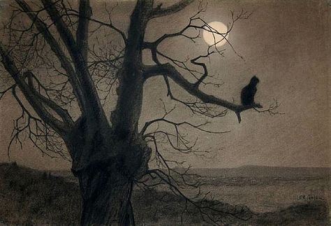 Steinlen 'Chat au Clair de Lune' (Cat in the moonlight) c. 1900 | Flickr - Photo Sharing! Caspar David Friedrich, Art Et Illustration, Art And Illustration, Pics Art, A Tree, Cat Art, Graphic Designer, A Black, Printmaking