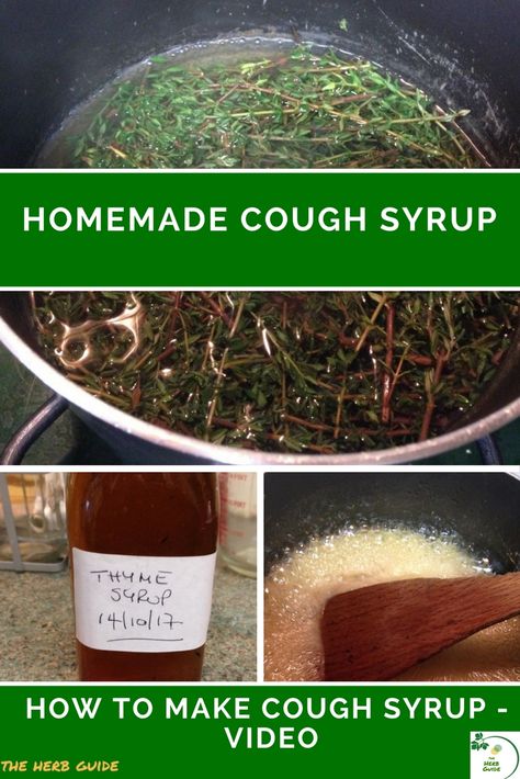 Herbal Cough Syrup is really easy to make. You can have a batch made and ready for use in under an hour. You won't need a trip to a specialist store - use dried herbs or herbs from your garden and plain old white sugar - honey if you prefer. Cough Tincture, Herbs To Stop Coughing, Thyme Cough Syrup, Herbs For Cough And Cold, Herbs For Cough And Congestion, Sage And Honey Cough Syrup, Herbal Cough Syrup, Medicinal Herbs Remedies, Homemade Cough Syrup